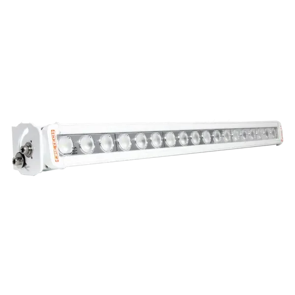 Minibrow & Recessed Lights